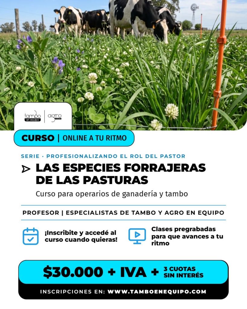 Flyer del curso Las especies forrajeras de las pasturas