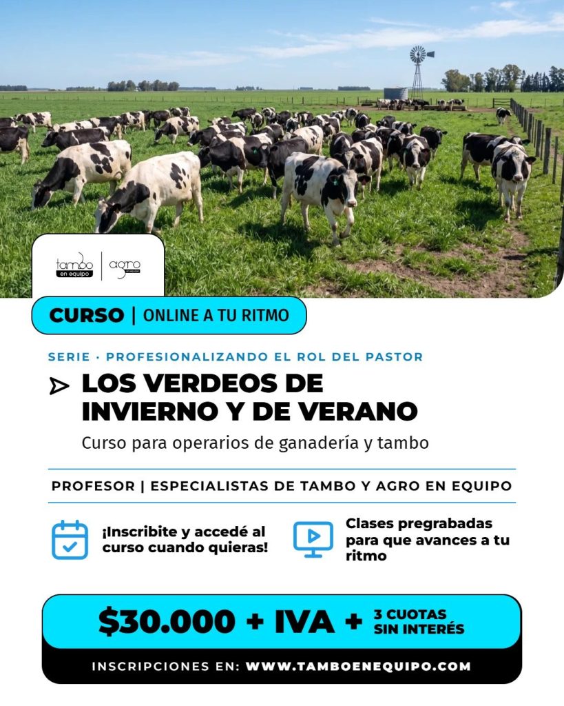 Flyer del curso Los verdeos de invierno y de verano