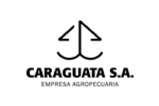 Caraguata S.A.